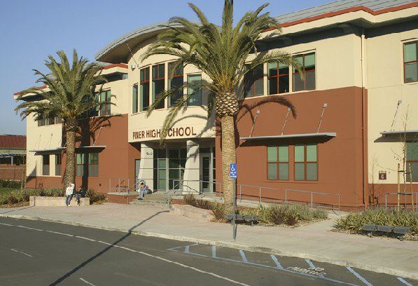 Piner High Palm Trees