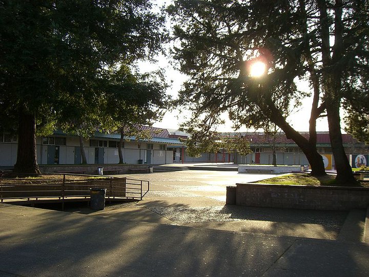 Piner High Quad